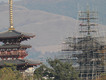 薬師寺と満月：見頃は11月20日と21日　2010/11/19